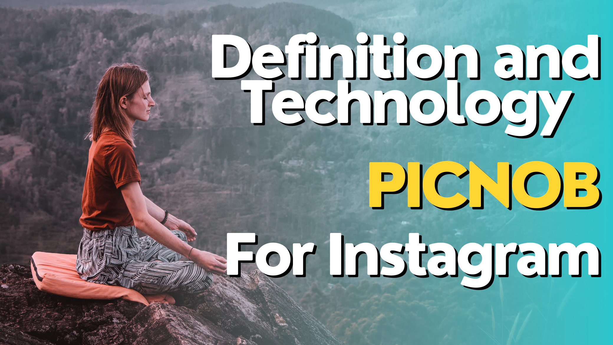 Picnob: Definition and Technology For Instagram